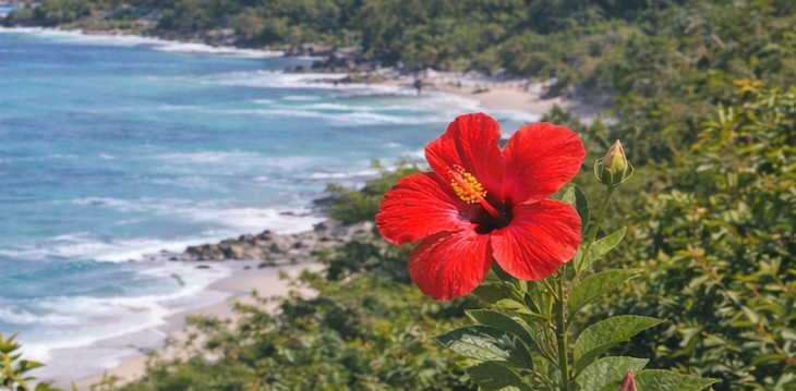 沖縄の墓地経営許可(霊園)に関するご相談|行政書士幸地事務所