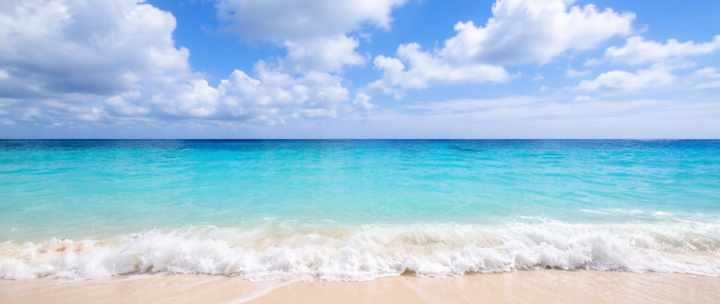 沖縄の改葬許可申請（墓じまい）のご相談｜行政書士幸地事務所